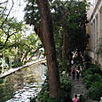 Congrès SABCS,  San Antonio, décembre 2006