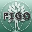 Logo figo