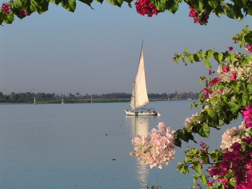 Du blanc, du bleu, du bon temps