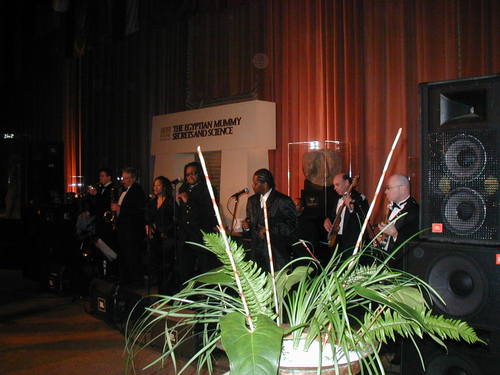 Musique au Musée ...